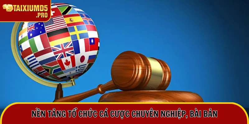 Nền tảng tổ chức cá cược chuyên nghiệp, bài bản